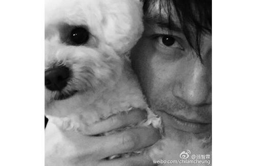 chilam-cheung-dog.jpg