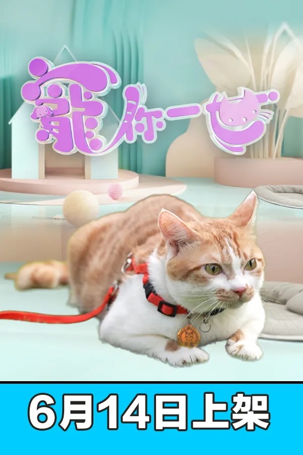 Paws Of Love.jpg